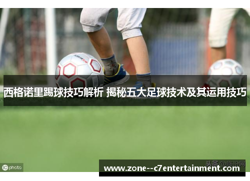 西格诺里踢球技巧解析 揭秘五大足球技术及其运用技巧