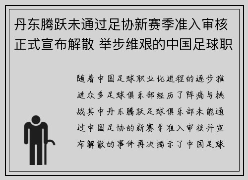 丹东腾跃未通过足协新赛季准入审核正式宣布解散 举步维艰的中国足球职业化困境再现