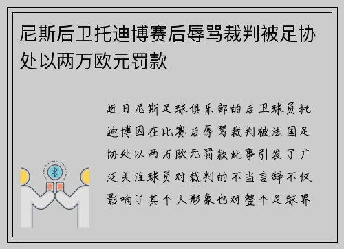 尼斯后卫托迪博赛后辱骂裁判被足协处以两万欧元罚款
